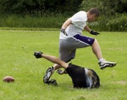OTFL Gallery Image